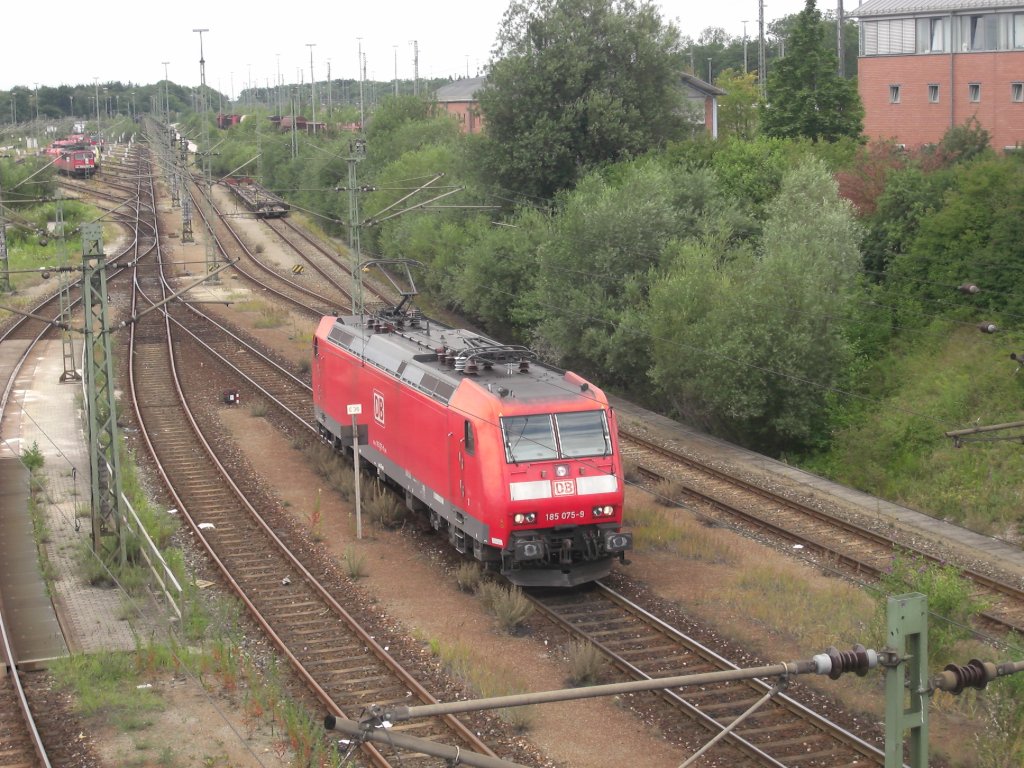 185 075-9 bei einer Rangierfahrt in M�nchen/Nord. Aufgenommen am 14. Juli 2009.