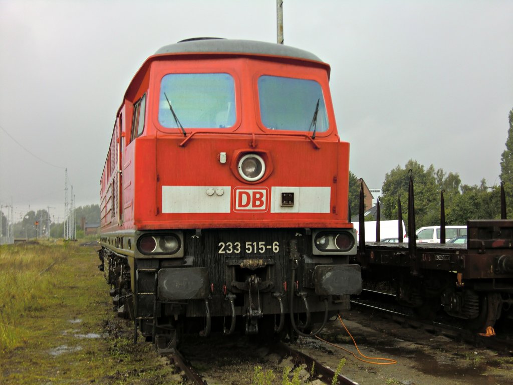 Die 233 515 in Warem an der M�ritz, abgestellt am 12.8.2011