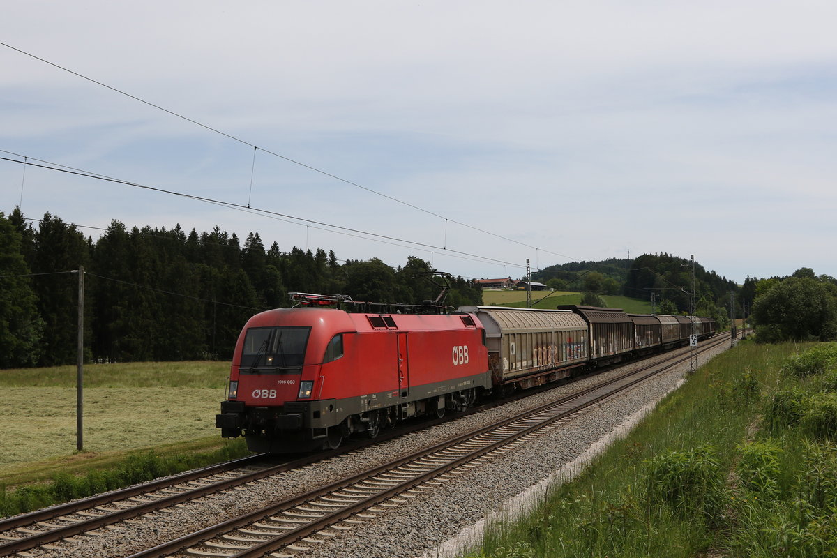 1016 003 mit einem kurzen G�terzug aus Salzburg kommend am 3. Juni 2020 bei Grabenst�tt.