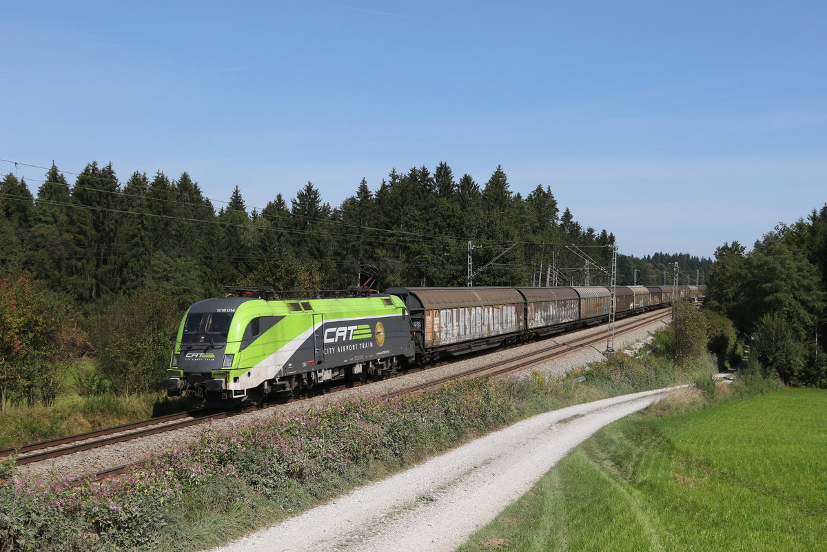 1016 014 mit Schiebewandwagen aus Salzburg kommend am 14. September 2020 bei Grabenst�tt.