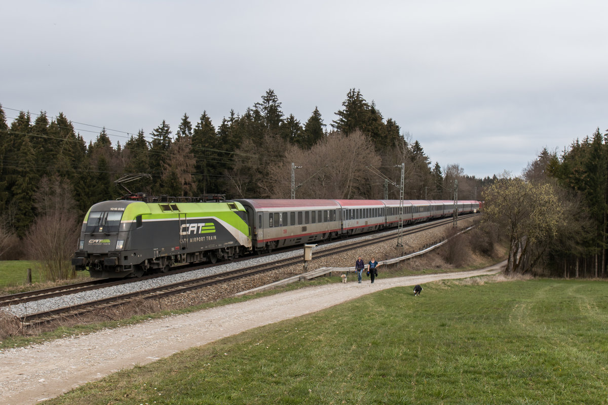 1016 036-5  CAT  am 28. M�rz 2016 aus Salzburg kommend bei Sossau im Chiemgau.