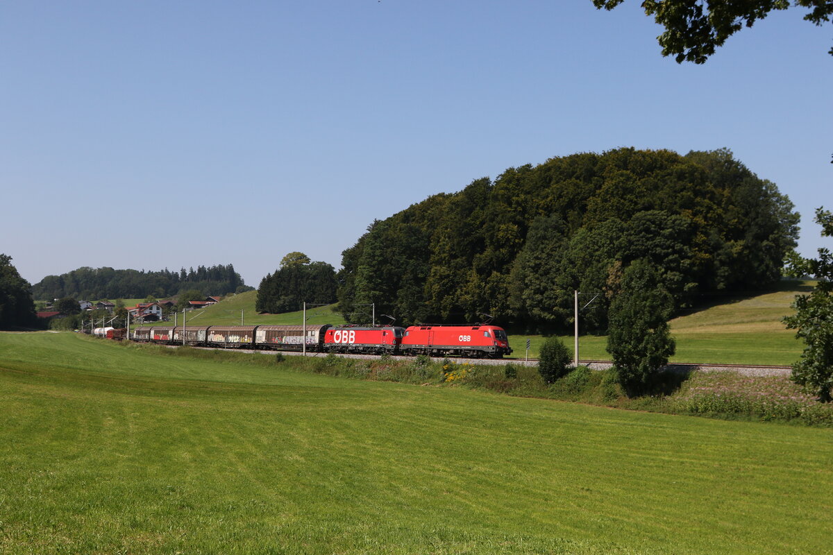 1116 151 und 1293 097 mit einem gemischten G�terzug aus M�nchen kommend am 12. August 2025 bei Axdorf im Chiemgau.