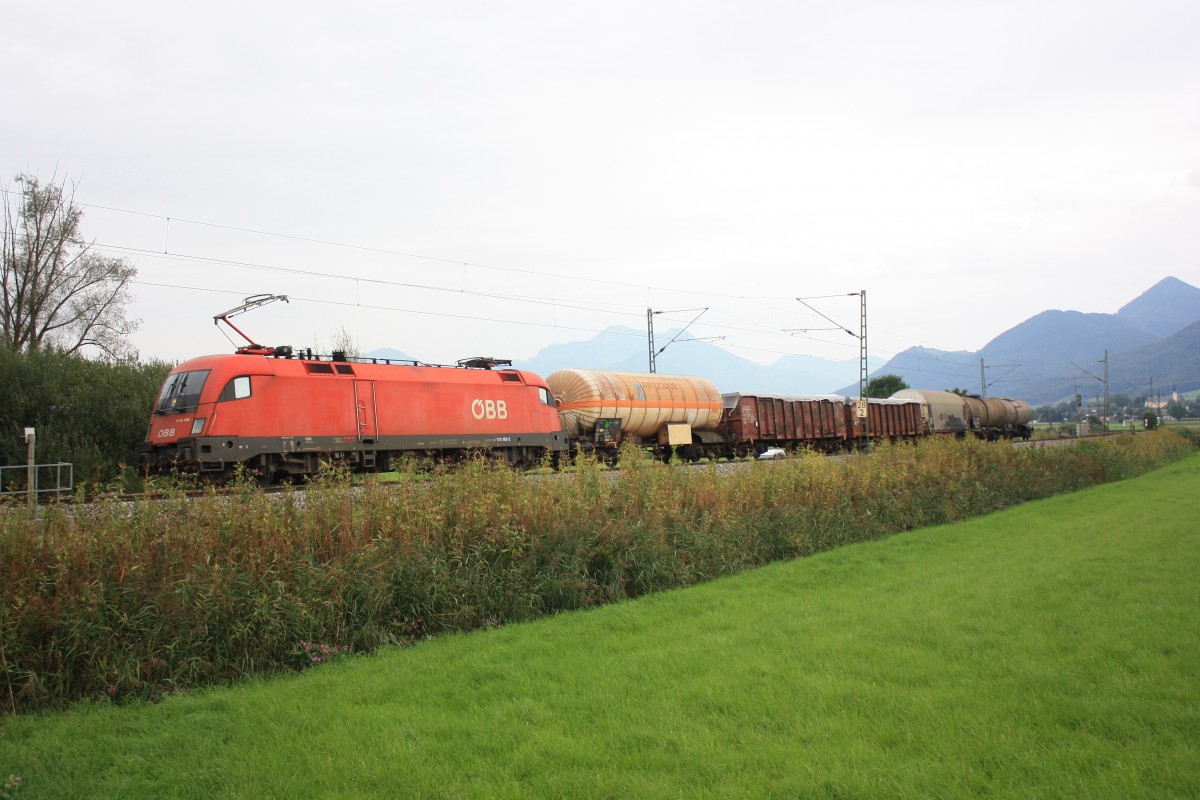 1116 165-2 mit einem kurzen gemischten G�terzug bei Weisham am 26. September 2014.
