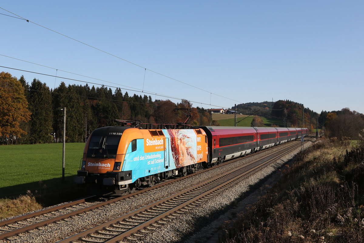 1116 229  Steinbach  mit einem  Railjet  auf dem Weg nach Innsbruck. Aufgenommen am 9. November 2020 bei Grabenst�tt.