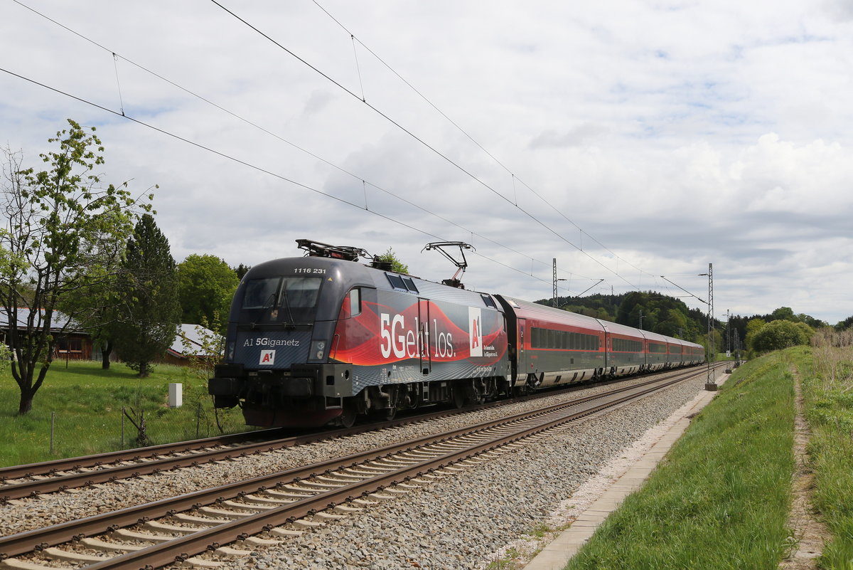 1116 231  5Geht los  am 4. Mai 2020 bei Grabenst�tt im Chiemgau.