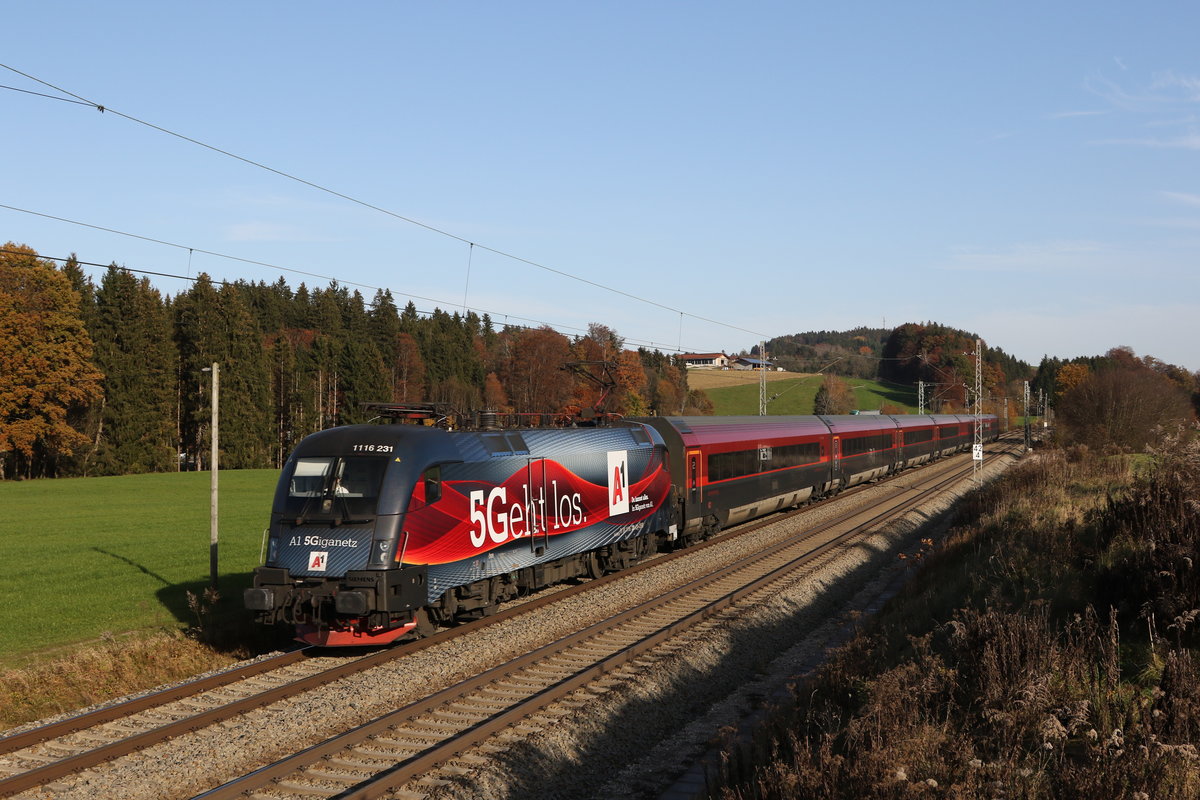 1116 231  5Geht los  auf dem Weg nach Innsbruck am 9. November 2020 bei Grabenst�tt im Chiemgau.