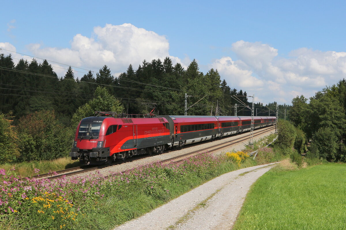 1116 251 am 1. September 2021 bei Grabenst�tt im Chiemgau.