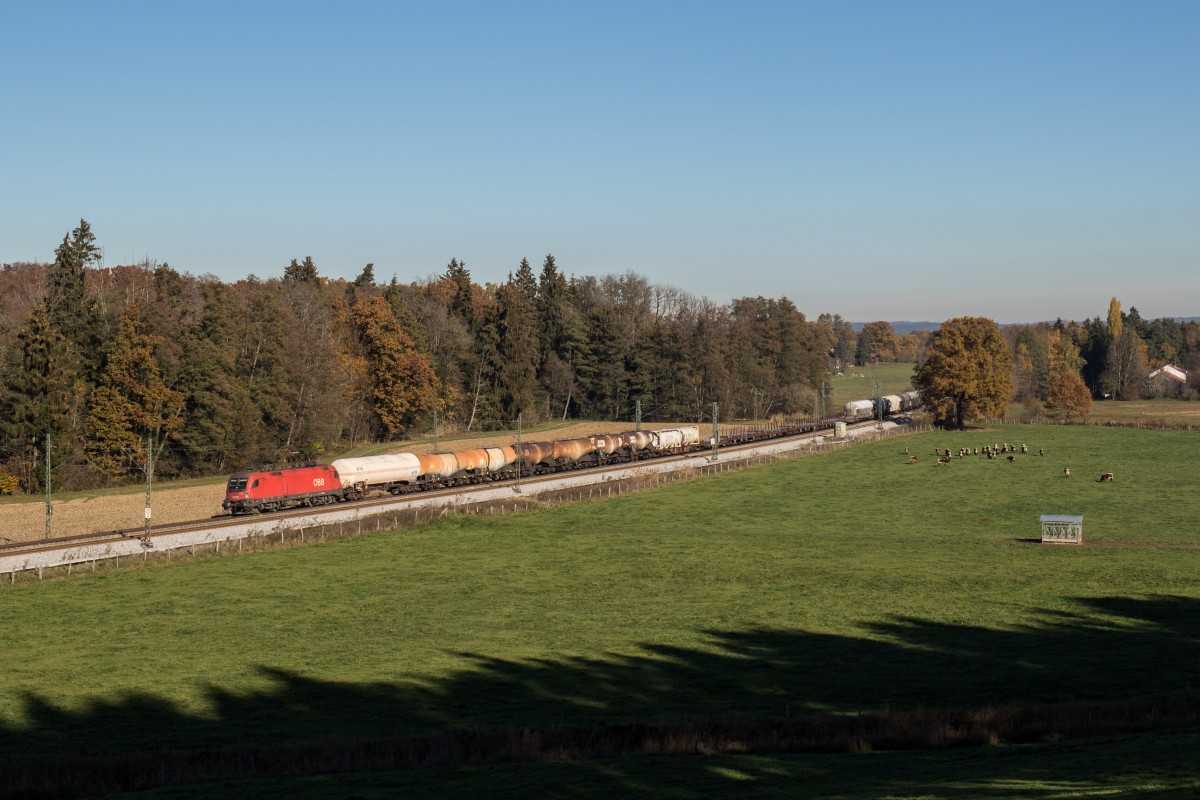 1116 254 mit einem gemischten G�terzug am 3. November 2015 bei Wessen.