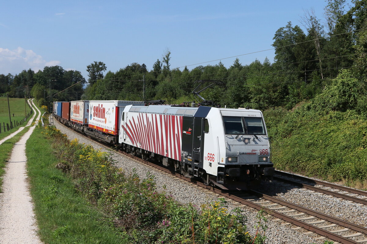 185 666 kurze Zeit sp�ter am 30. August 2022 bei Grabenst�tt im Chiemgau.