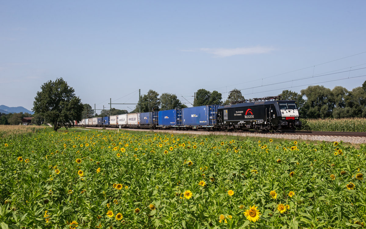 189 924 mit dem  Ekol -Zug am 26. August 2017 bei �bersee am Chiemsee.