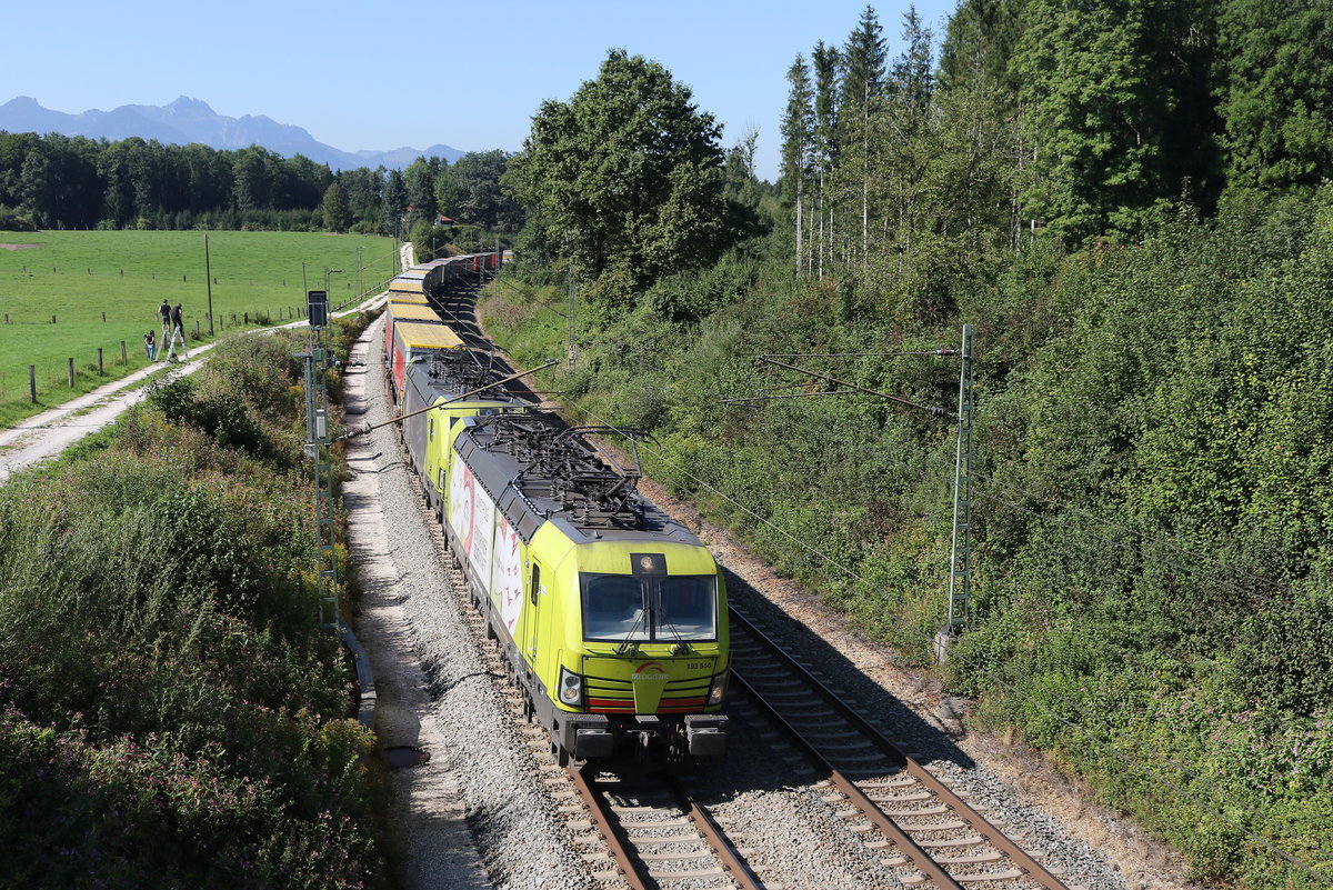 193 550 und 193 xxx waren am 15. September 2019 bei Grabenst�tt in Richtung Freilassing unterwegs.