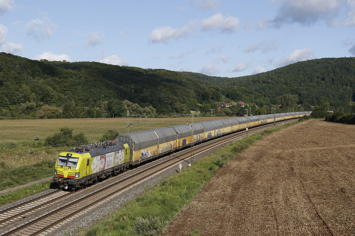 193 550  zwei Pole  am 19. August 2017 bei Harrbach im Maintal.