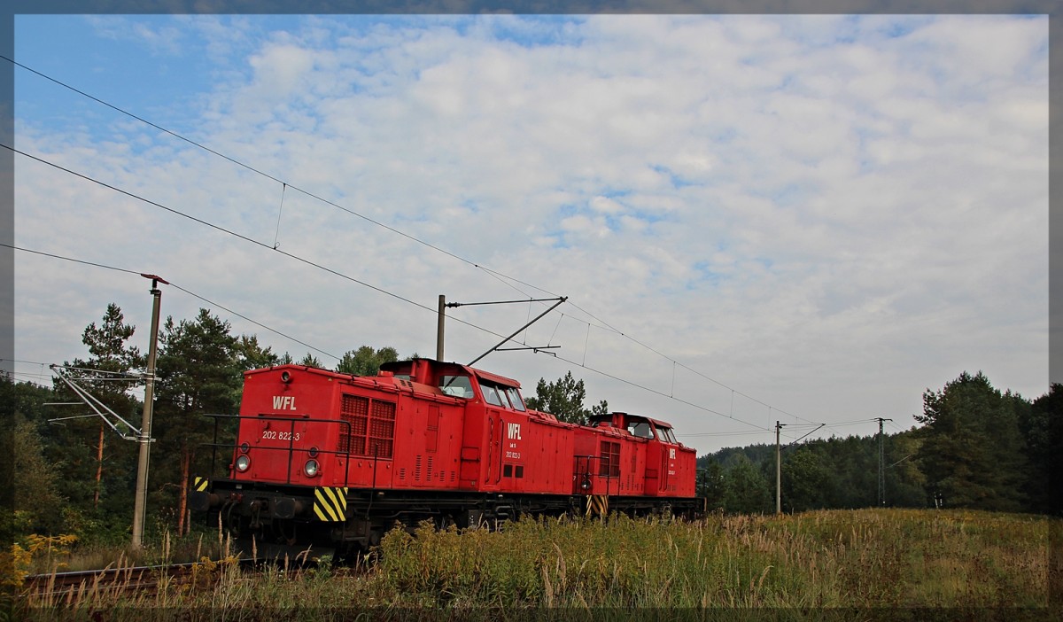 202 822 und 202 453 der WFL abgestellt in Neustrelitz am 04.10.2015