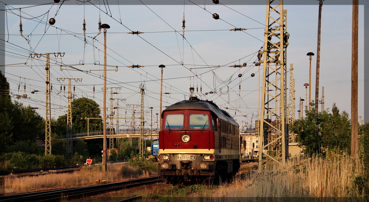 231 012 der WFL abgestellt in Neubrandenburg am 06.07.2015