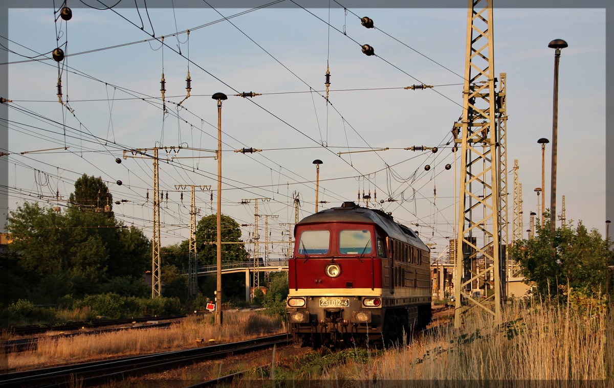 231 012 der WFL abgestellt in Neubrandenburg am 06.07.2015