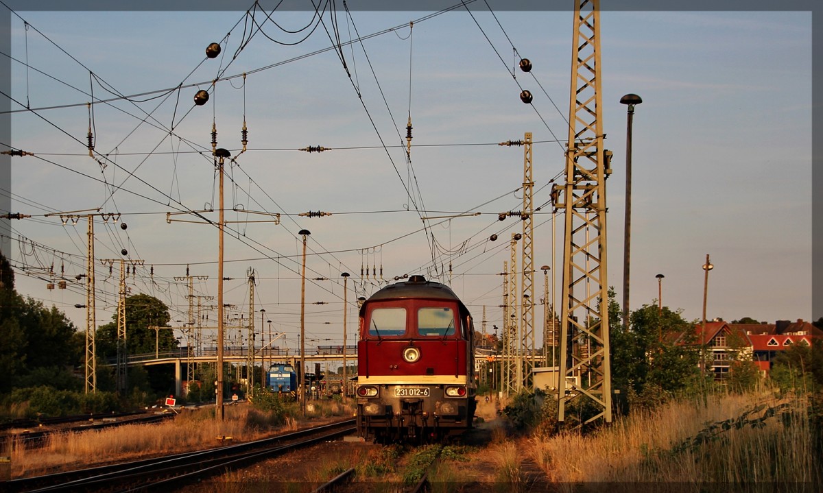 231 012 der WFL abgestellt in Neubrandenburg am 06.07.2015