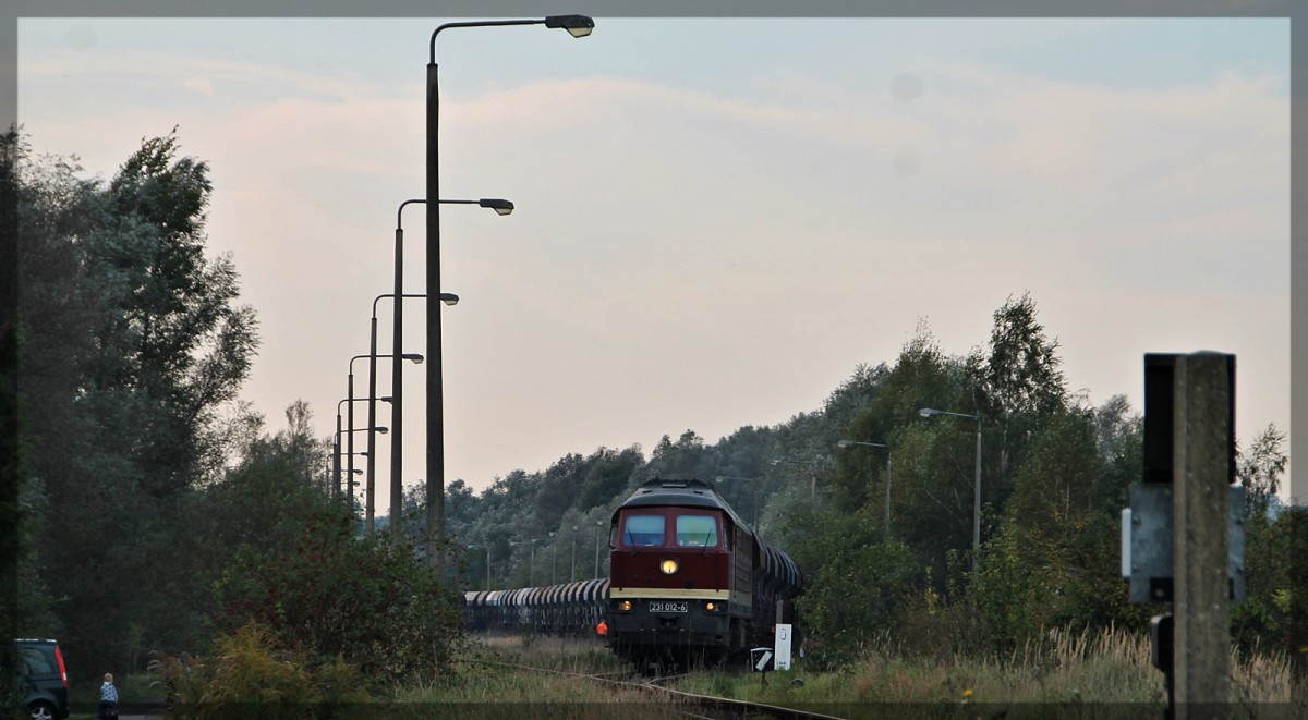 231 012 der Wfl abgestellt in Neubrandenburg am 06.10.2014