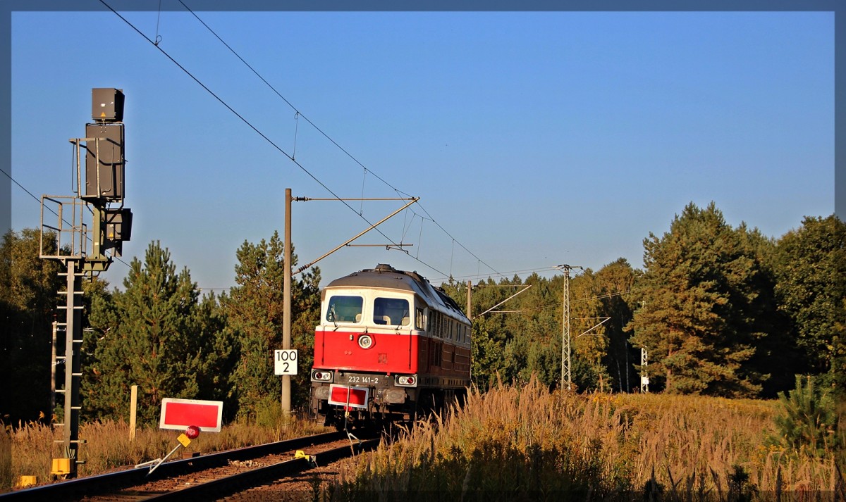 232 141 der WFL abgestellt in Neustrelitz am 03.10.2015