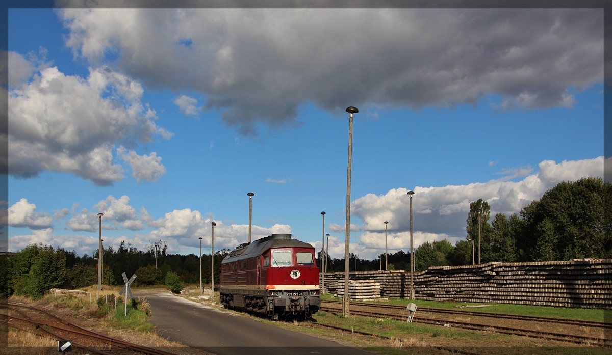 232 223 der DGT abgestellt in Neustrelitz Süd am 27.09.2015