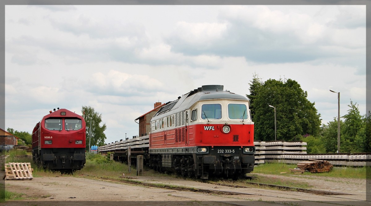 232 333 der WFL und 250 008  V330.05  der HVLE in Möllenhagen am 29.05.2015