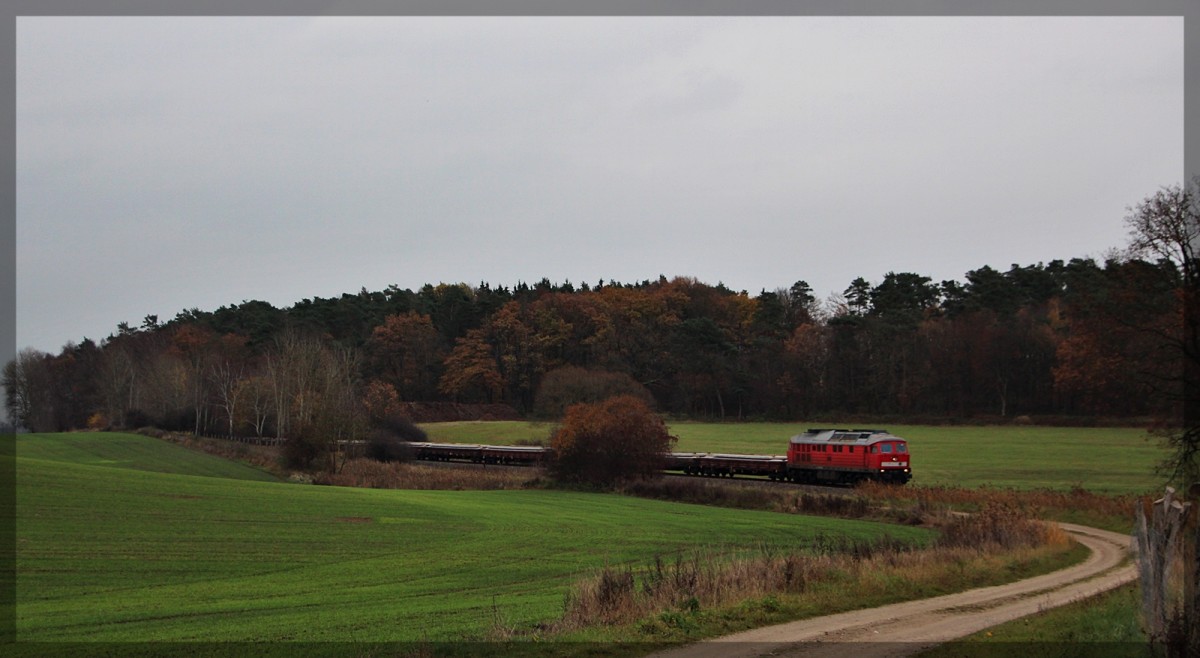 232 428 mit ihrer Übergabe in Klein Plasten in Richtung Kargow(Meckl.) fahrend am 13.11.2015