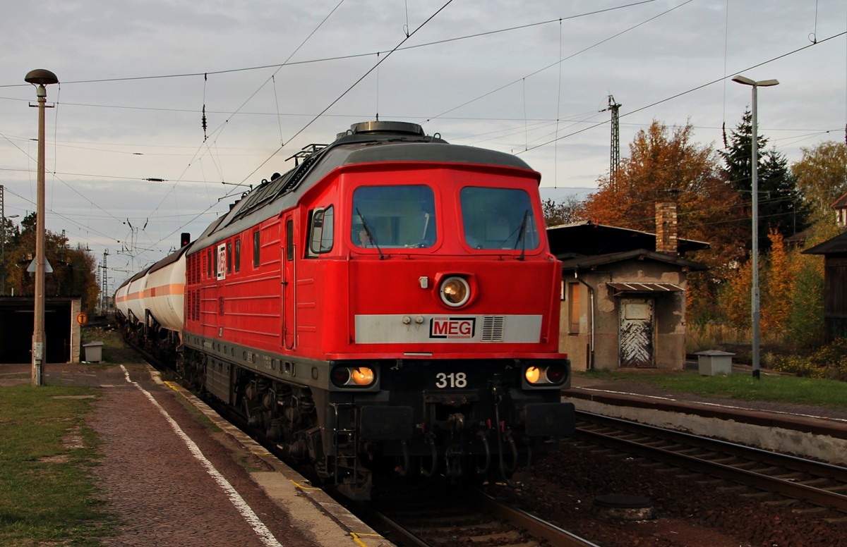 232 690 in Gaschwitz am 21.10.2013