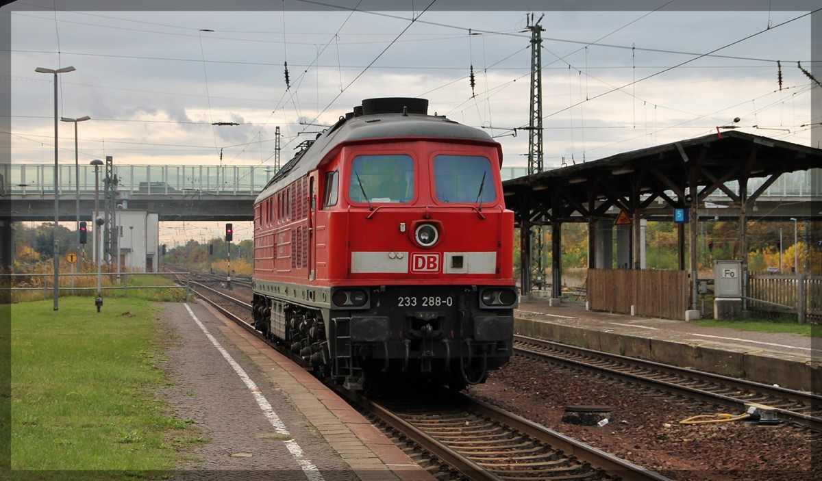 233 288 in Gaschwiz bei einer Rangierfahrt am 21.10.2013