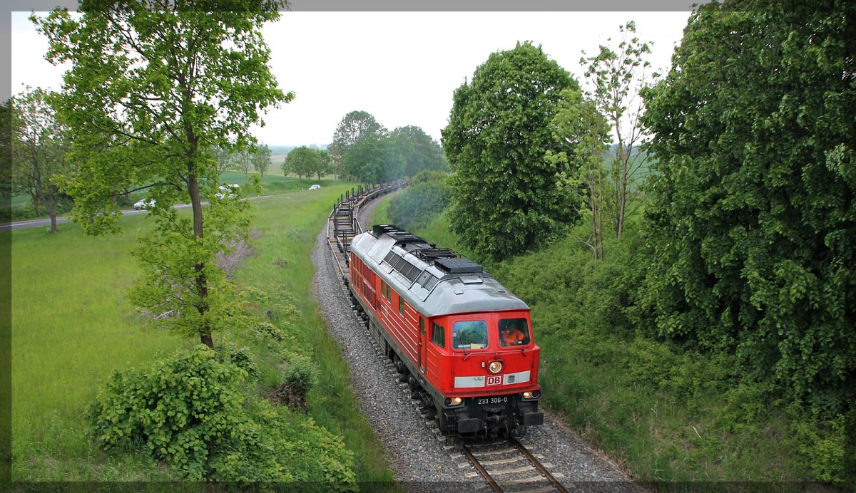 233 306 bei Klein Plasten auf dem Weg in Richtung M�llenhagen am 28.05.2015