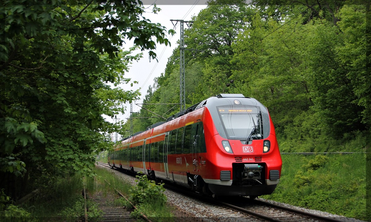 Der 442 341 bei Ausfahrt aus Neubrandenburg Richtung Neustrelitz am 23.05.2015