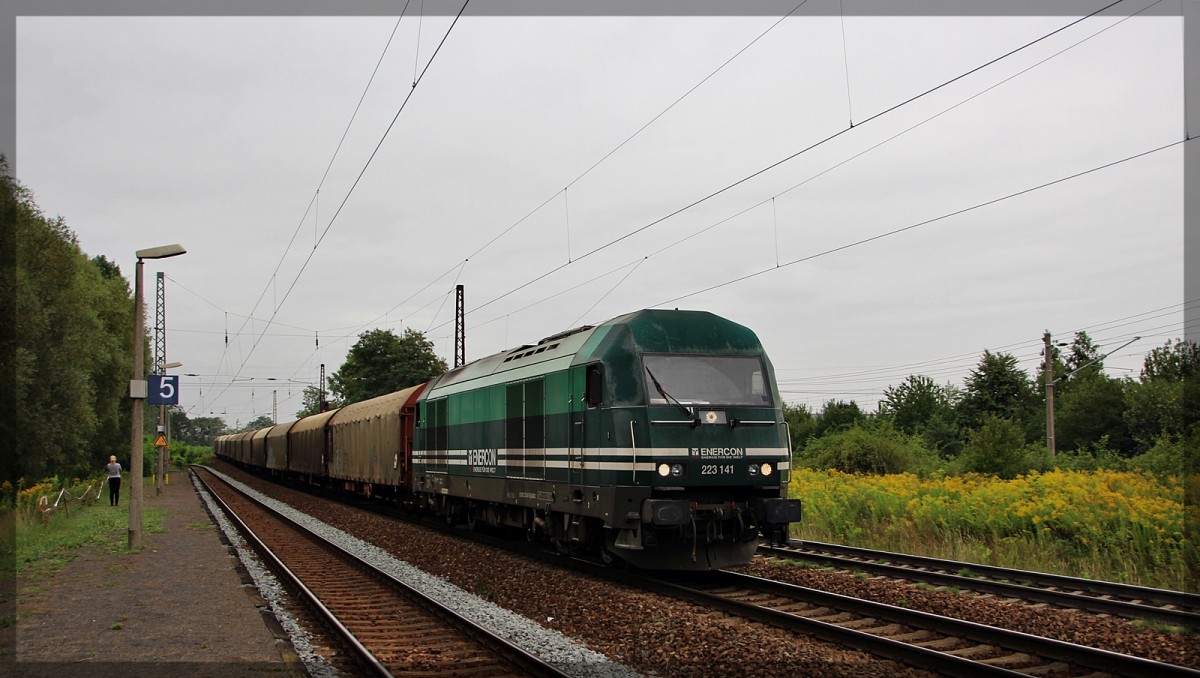 EGOO 223 141 bei der Durchfahrt in Leipzig - Thekla am 19.08.2015