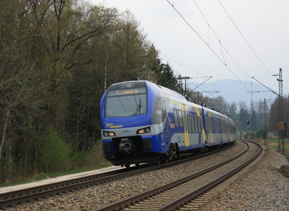 ET 309 am 5. April 2014 zwischen Bernau und �bersee.
