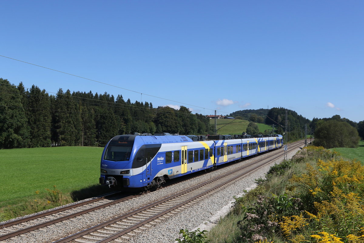ET 315 als  Sch�lerzug  aus Traunstein kommend am 9. September 2020 bei Grabenst�tt.