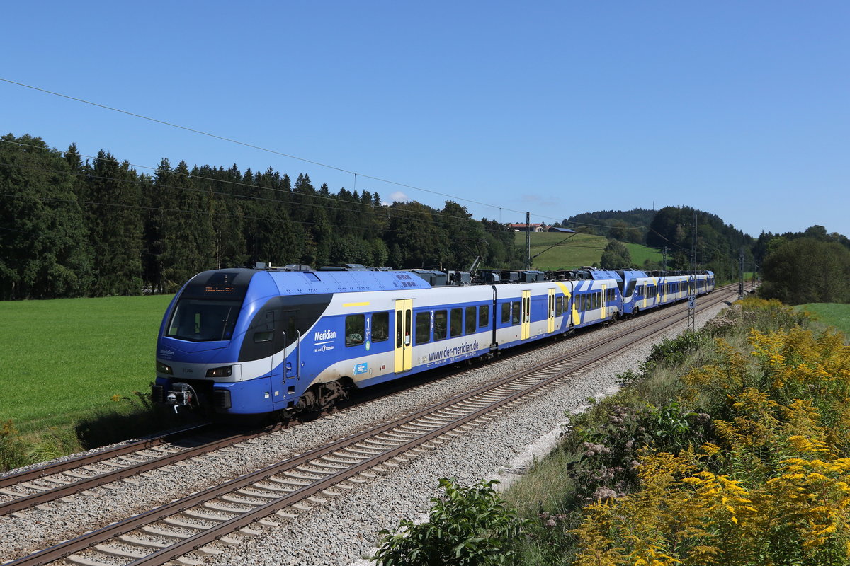 ET 354 auf dem Weg nach M�nchen am 9. September 2020 bei Grabenst�tt.