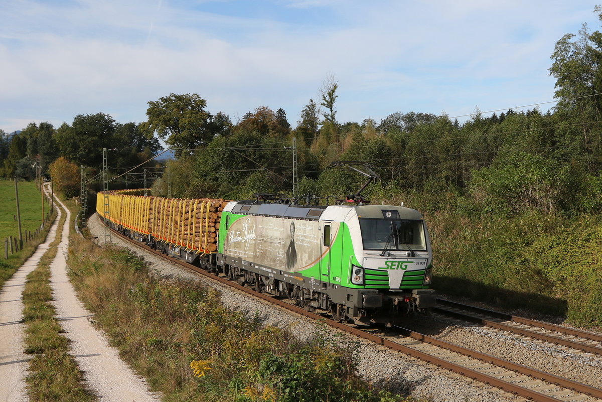 Nachdem 193 831 in �bersee in die �berholung musste, konnte ich sie wenig sp�ter nochmals bei Grabenst�tt ablichten.