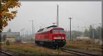 232 255 bei einer Rangierfahrt in Neustrelitz am 15.10.2015