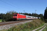 101 030 mit dem  IC K�nigssee  aus Freilassing kommend am 20. September 2025 bei Ufering.