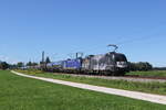 182 510  Beethoven  und 182 521 mit einem Kesselwagenzug aus M�nchen kommend am 31. August 2025 bei �bersee am Chiemsee.