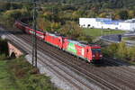 185 205  Das ist Gr�n  und 185 xxx bei der Einfahrt in Gem�nden am Main am 11.