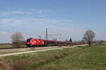 1116 251  100 Jahre �BB  mit einem Railjet aus Salzburg kommend am 20. M�rz 2026 bei �bersee am Chiemsee.